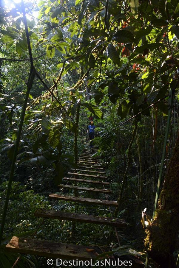 Ciudad De Las Rocas La Fortuna Gallo Giro Eksteriør billede